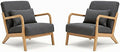 Set of 2 Mid Century Modern Accent Chair by Unknown