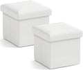 Ornavo Home Small Storage Ottoman, by OrnavoHome