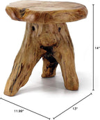 WELLAND Natural Cedar Stump Stool, Live Edge Side Table, Plant Stand, Small - Image 3