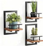 Sbosbo Floating Shelves for Wall, Plant Shelf Indoor, Wall Planters for Indoor by SBOSBO