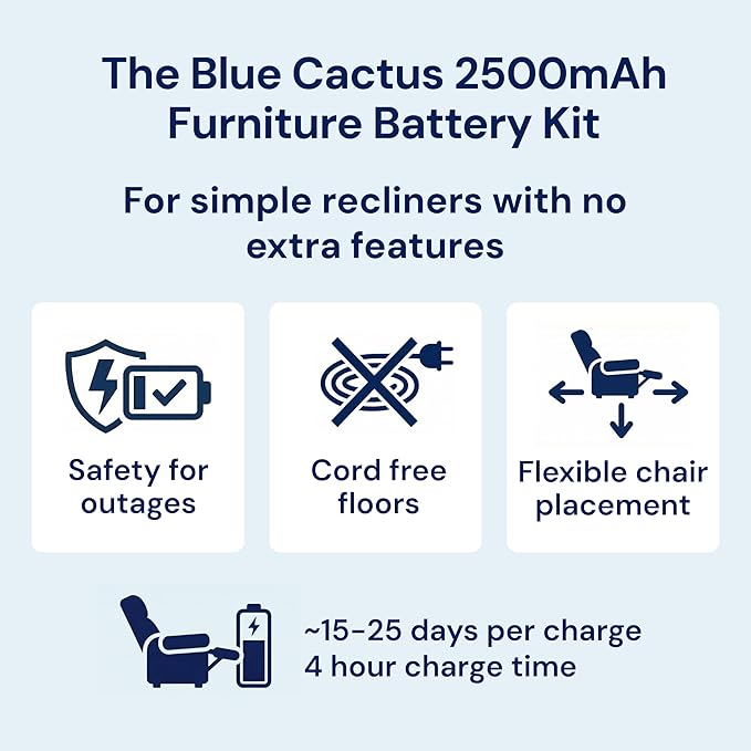 Blue Cactus 2500mAh Rechargeable Battery Pack - Image 2