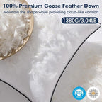 MIULEE Goose Feather Down 22x22 Pillow Insert Set of 2 - Image 2