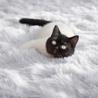 PAGISOFE White Fluffy Shag Area Rugs - Image 5