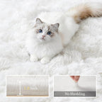 Fluffy 5x7 Area Rugs for Living Room Bedroom: Ultra Soft Shag Rug Non-Slip - Image 5