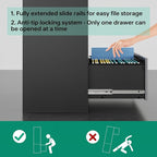 Letaya File Cabinet with Lock-Lateral 2 Drawer Metal Filing - Image 4