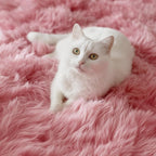 PAGISOFE Blush Pink Fluffy Shag Area Rugs - Image 8