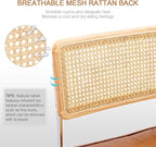 Zesthouse Natural Rattan Dining Chairs Set of 6, Modern Dining Room Chairs - Image 4