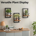 Sbosbo Floating Shelves for Wall, Plant Shelf Indoor, Wall Planters for Indoor - Image 4