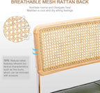 Zesthouse Natural Rattan Dining Chairs Set of 4, Modern Dining Room Chairs - Image 3