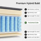 4-in-1 Folding Sofa Bed Convertible Boneless Sleeper Chair Couch Foldable - Image 4