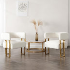 Barrel Accent Chairs Set of 2, Modern Side Chair by DMFurniture