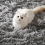PAGISOFE Grey Fluffy Rugs for Bedroom 4x6 Area Rug Shag Rug for Kids Room Furry - Image 9