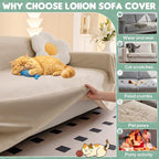 Loiion Cat Scratch Furniture Protector - Image 8