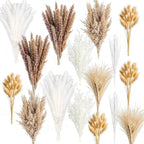 300PCS Natural Pampas Grass Mix Bouquet | Dried Pampas Bouquet - Image 3